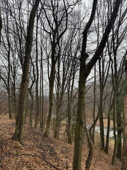 Prodej pozemků k.ú. Huslenky (2) - 3