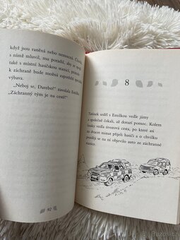 Kniha Zatoulané štěňátko - 3