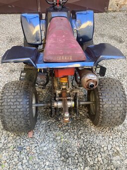 Yamaha blaster 200 - 3