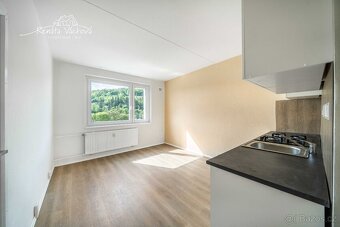 Prodej bytu 1+1 39 m², Žlutice - 3