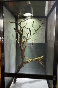 TERÁRIUM - FLEXARIUM - 3