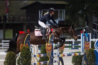 Klisna pro juniora - 3