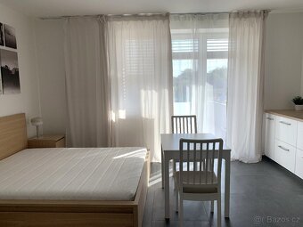 Pronájem vybaveného 1+kk s klimatizací a terasou u Campusu - 3