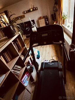 🏃♀️ Domyos T540C – běžecký pás, co se těší, až se zase pro - 3