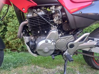 honda FMX 650 - 3