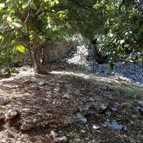 Stavební pozemek / Chorvatsko / Brač - 3