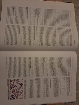 Vnitřní lékařství - učebnice - 3