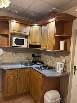 Pronájem bytu 2+kk 55 m2 Dalovice -Karlovy Vary - 3
