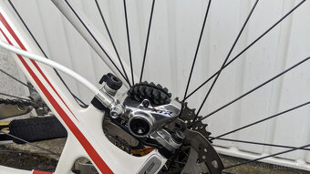 Stevens Hardtail, CARBON, FOX, XTR, ERGON, SCHWALBE - 3
