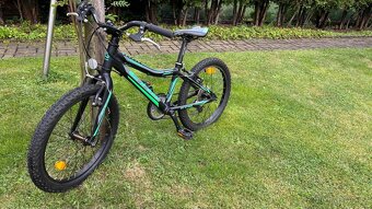 CTM Jerry 3 vel. 20 + helma 52-55 cm - 3