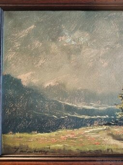 obraz HORSKÁ LOUKA, olej, sign. Trinkmoc - 3