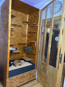 Prodám voliéru pro činčily + dvě činčily (bratři, 3 roky) - 3