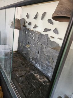 Velké skleněné terárium - 3