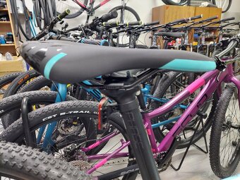 Amulet night cat 4.0. - 3