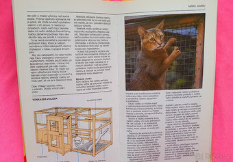 Vaše kočka a kotě. - 3