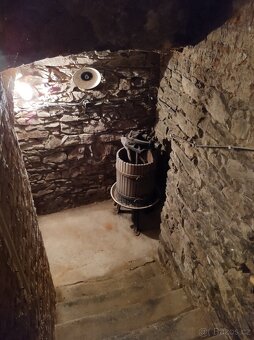 STARÝ LIS NA VINO - 3