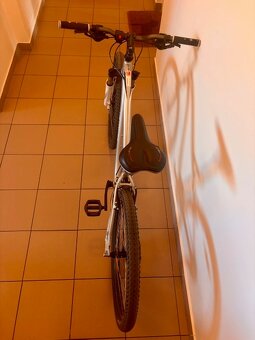 Horské kolo Specialized Myka 26, rám M 17" - 3