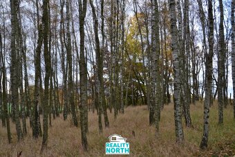 Prodej podílu 49/100 ostatní pozemky, 11 599 m2 - Stráž pod - 3