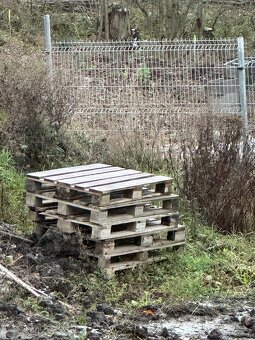 Palety euro, xela ostatní - 3