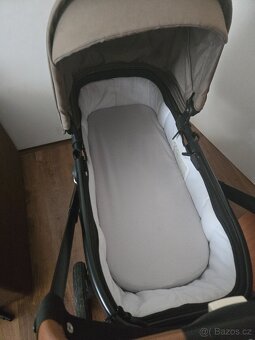 Neonatopuro - 3