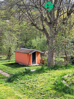 Zahrada v  Klášterci nad Ohří - 3