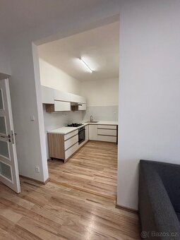 Byt U prvni baterie, 2kk, 50m2, s vychodem na zahradu - 3