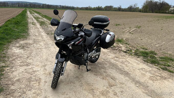 Honda XL 650 V Transalp - Rally Touring (2006) - 3