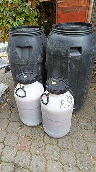 Švestky / trnky na kvas - 3