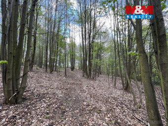 Prodej zahrady, 2545 m², Chrastava, Andělská Hora - 3