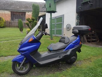 Yamaha Majesty YP 250 - 3