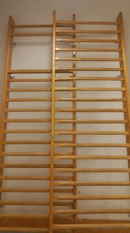 ŽEBŘINY - ribstole - 3