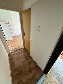 (730) Pronájem, byt 1+kk, 27 m, 105, Bukovany - 3