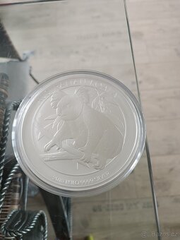 Investiční stříbrná mince - 3