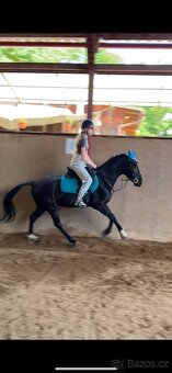 Hledám brigádu okolo Plzně - 3