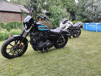 Harley Davidson XL 1200 IRON - 3