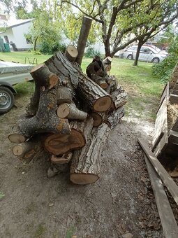 Ořechové dřevo - 3