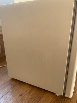 Lednice Amica - 3