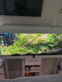 Akvarijní set pouze skříň, poklop, akvárium - 3