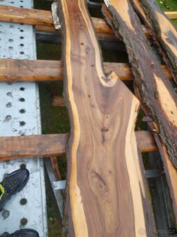 Ořechové fošny - 3