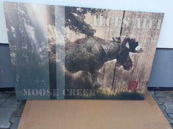 Prodám obraz se sobem - 3