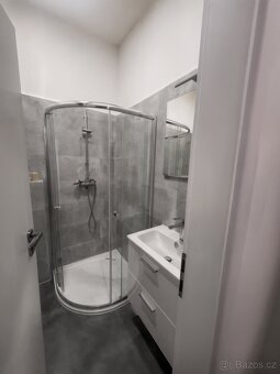 Pronájem bytu 1+kk 30 m - 3