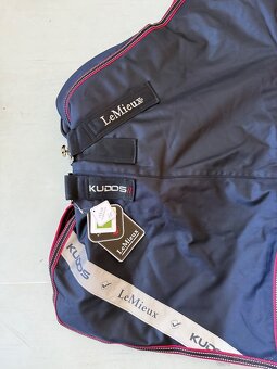 Vybehova deka Lemieux 200g 145cm - 3