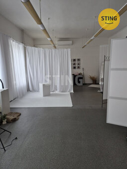 Pronájem komerčních prostor, 134094 - 3