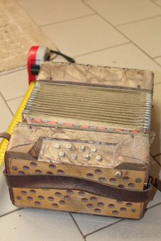 harmonika knoflíková - 3