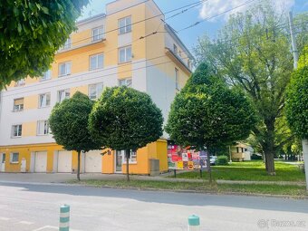 Prodej, byt 1+kk, ul. Sladkovského, Plzeň -město - 3
