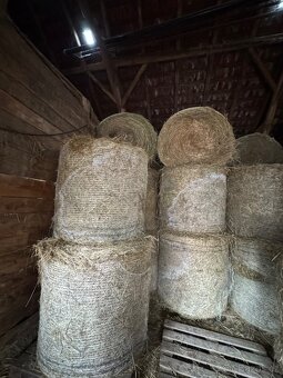 Prodám loňské seno průměr balíku 120. - 3