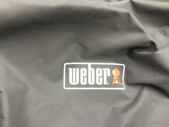 Gril Weber - 3