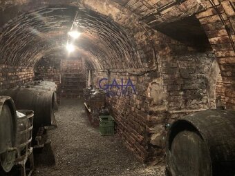 Krumvíř - Prodej vinného sklepa s menší zahrádkou - 62m2 - 3