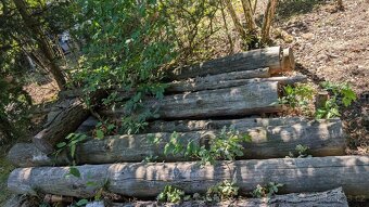 Palivové dřevo - smrk, borovice modřín - 3