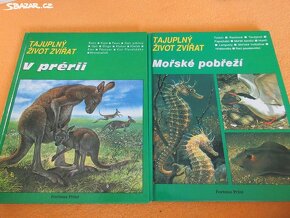 Příroda v ČSSR,Tajemný svět zvířat,Království zvířat - 3